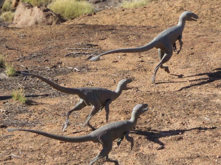 The ‘ultimate tree change’ in dinosaur country for just $450,000