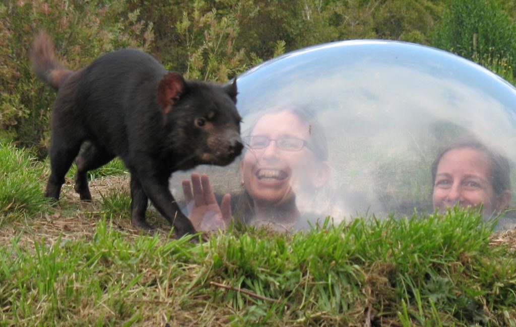 Snap up a devil of an opportunity in Taranna – Tassie’s famous Unzoo