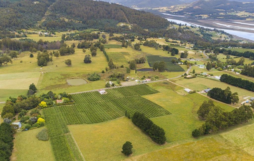 Everything you need to join the farming lifestyle