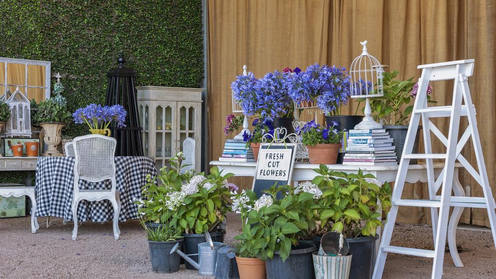 Provence in West Gippsland flower farm a slice of French countryside