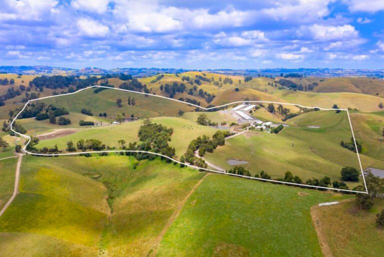 Medical cannabis a lucrative option for buyers of Victorian farm