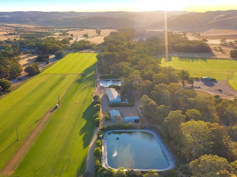 South Australian turf farm offered to the market for the first time in 30 years