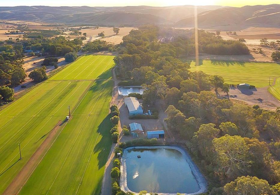 South Australian turf farm offered to the market for the first time in 30 years