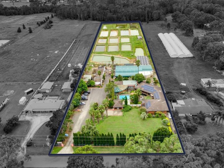 Southern Hemisphere’s largest Koi farm is for sale near new Western Sydney airport in Bringelly