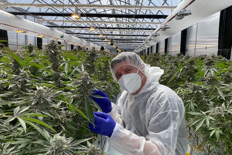 Top medicinal cannabis company moves headquarters to Byron