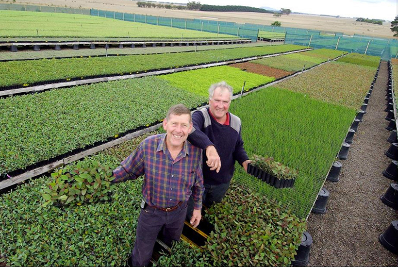 Ted Allender and Peter Sandow are selling ERA Nurseries.  Picture: Hamilton Spectator
