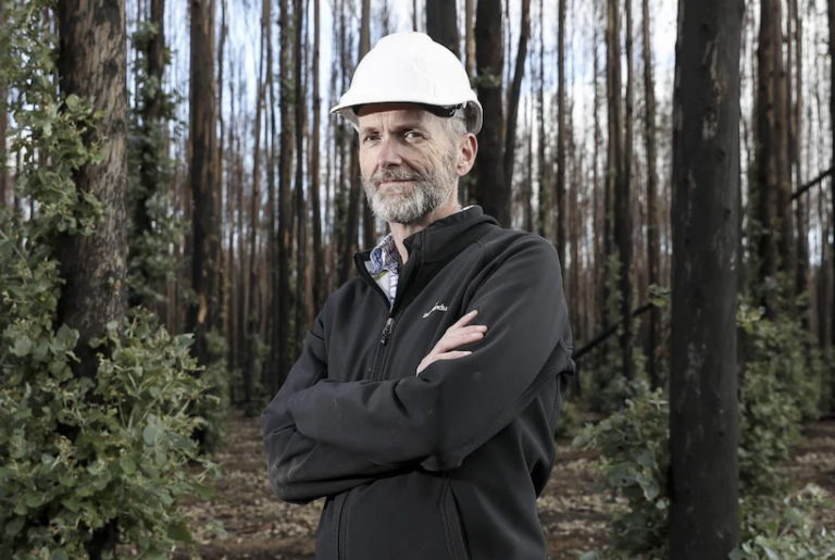 KI Phoenix claims site’s owner faces $100m “black hole” if offer is rejected