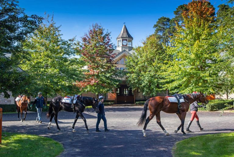 Equine properties: Great places for horsing around