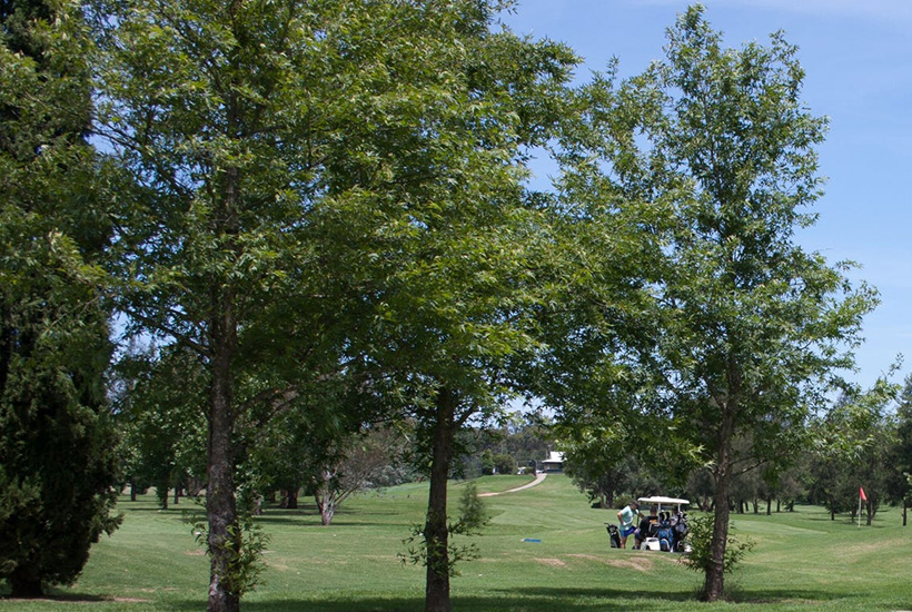 How Investors Are Transforming Golf Courses Into 'Real Destinations'