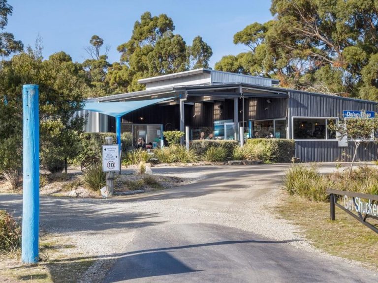 Bruny Island oyster business hits the market