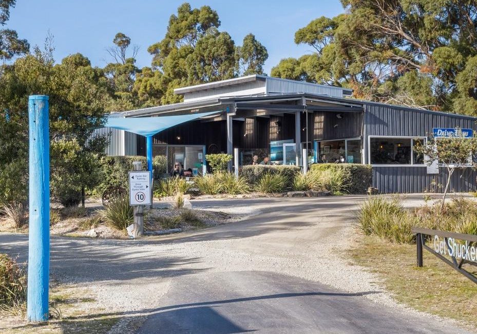 Bruny Island oyster business hits the market