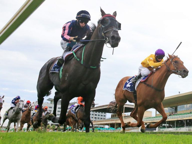 Fred Peisah lists iconic Warwick Farm stables