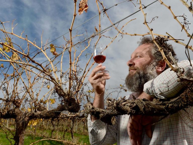 SA family-owned boutique winery Uleybury Wines up for grabs