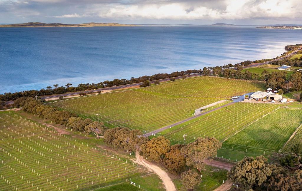 A vine reason for a seachange as Boston Bay Wines near Port Lincoln hits the market