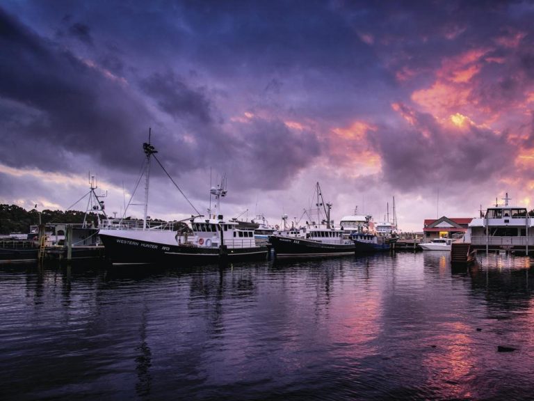 NRMA shopping for tourism assets after making inroads in Tasmania