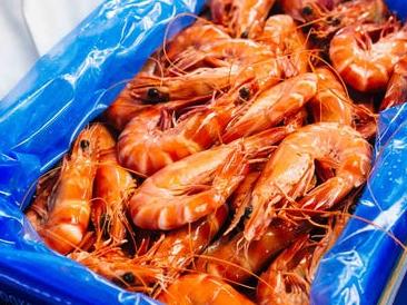 Massive Queensland prawn farm listed for sale