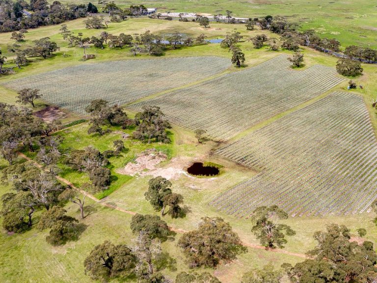 Boneo vineyard set to triple $9m price in five years in big buyout