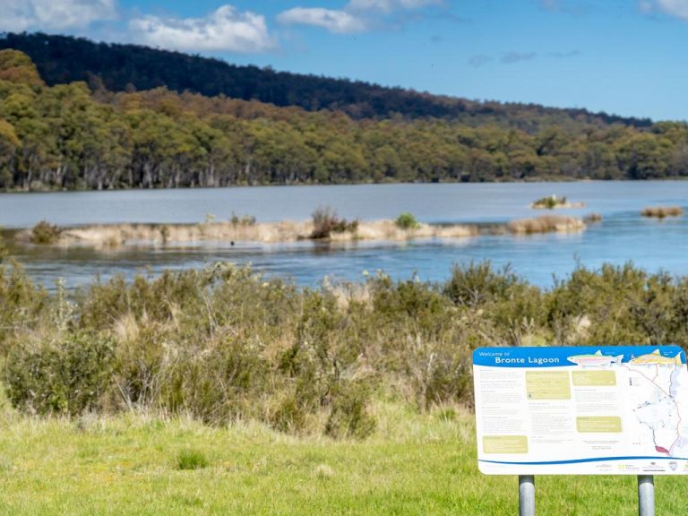 Remote Tassie fishing and hunting property needs new owner
