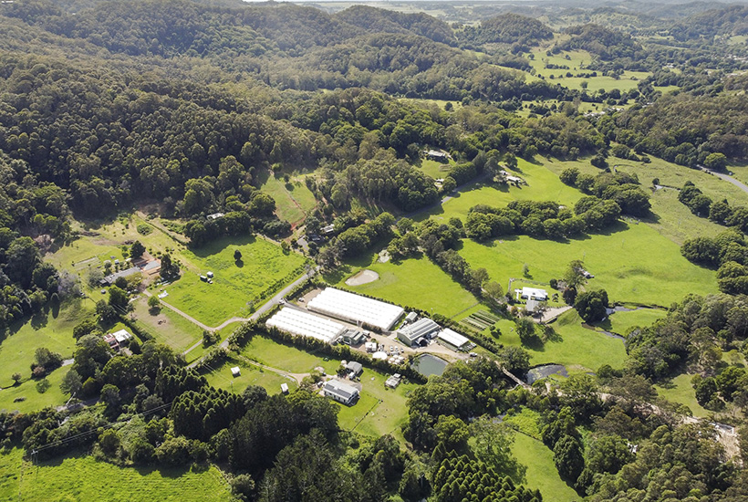 Pocket Herbs and Produce’s 2.27ha-site produces more than 70 varieties of microgreens, herbs, baby leaf produce, rare edibles, and bush food all year round. Picture: realcommercial.com.au/for-sale