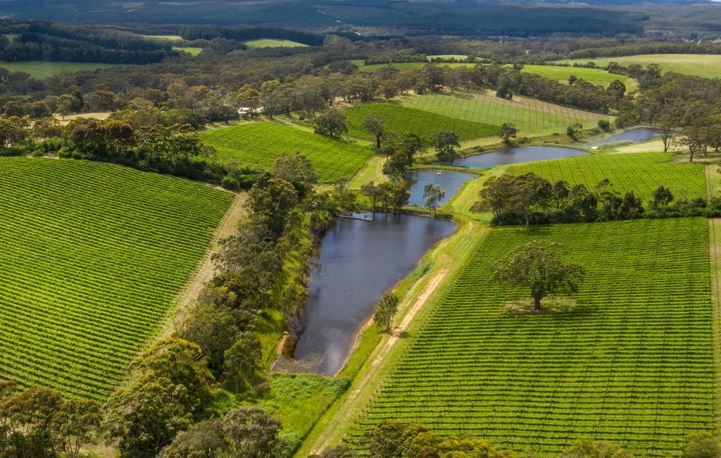 Award-winning vineyard in The Range comes with a luxurious residence