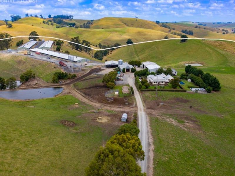 Chicken farmers turn to medicinal cannabis, list Mountain View property