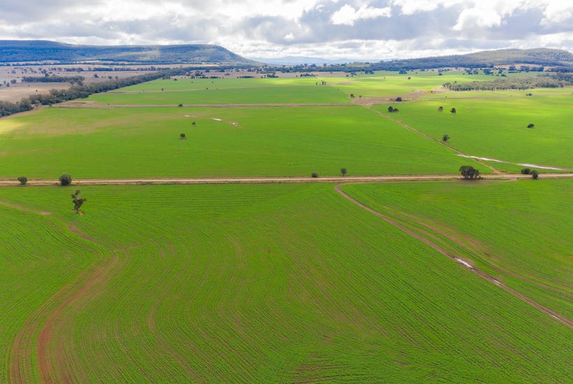 Land previously earmarked for a coal mine in north-west NSW has been sold in a $120 million deal. Picture: realcommercial.com.au/for-sale
