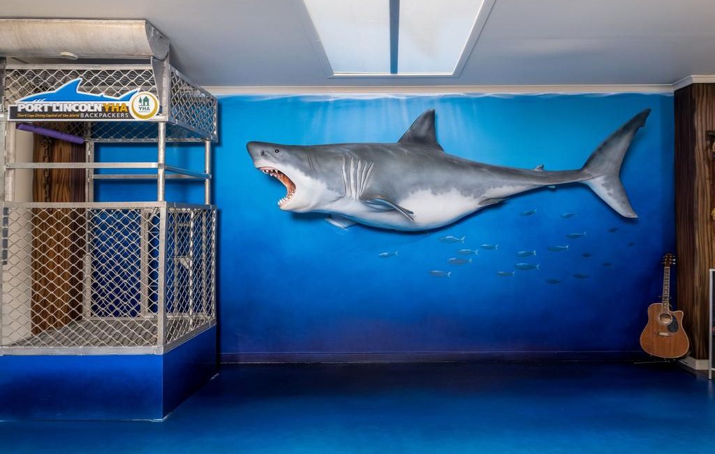 Shark-themed holiday accommodation with a cool vibe