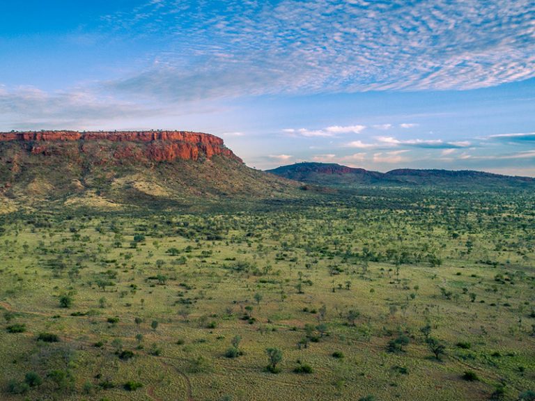 ‘Beautiful time’ to sell as Mount Doreen cattle station snapped up