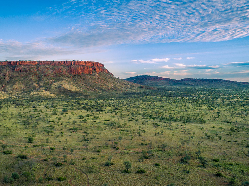Mount Doreen occupies a significant stretch of the Tanami Road, which links Central Australia with the Kimberley. Picture: realestate.com.au/sold

