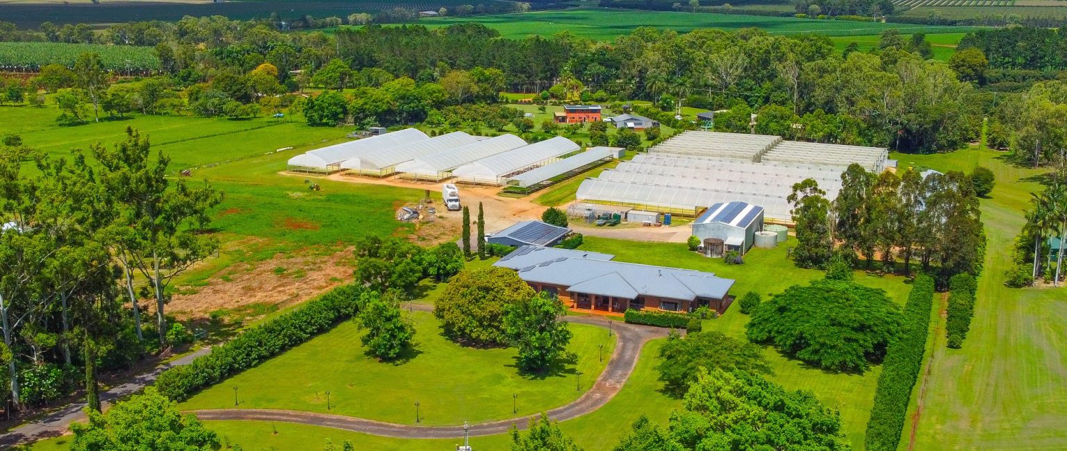 Tableland Hydroponics is a far north Queensland vegetable and herb farm at Tolga, 90km southwest of Cairns. Picture: realcommercial.com.au/for-sale