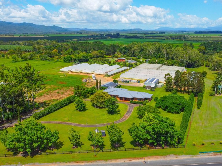 North Queensland veggie farm offers unique leafy opportunity