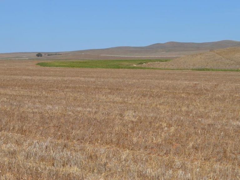 Rare opportunity to own prime farmland