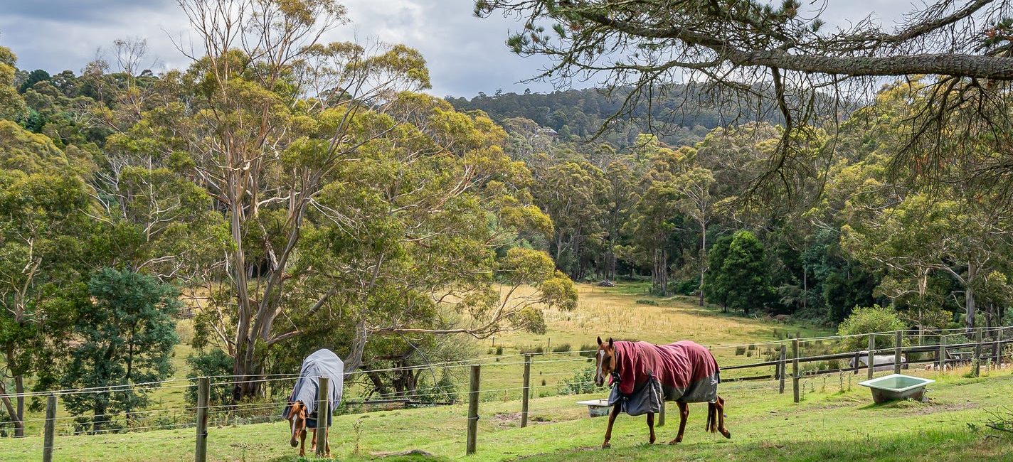 The 33ha Kingston Agistment and Training Centre, near Hobart, features extensive top-level facilities. Picture: realcommercial.com.au/for-sale
