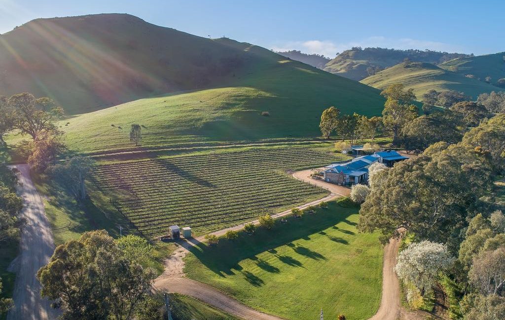 This Barossa winery offers the complete package