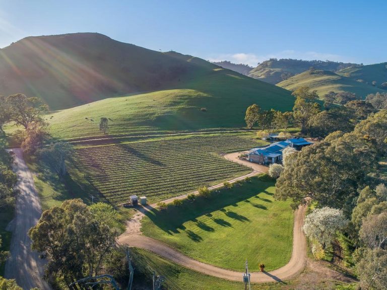 This Barossa winery offers the complete package