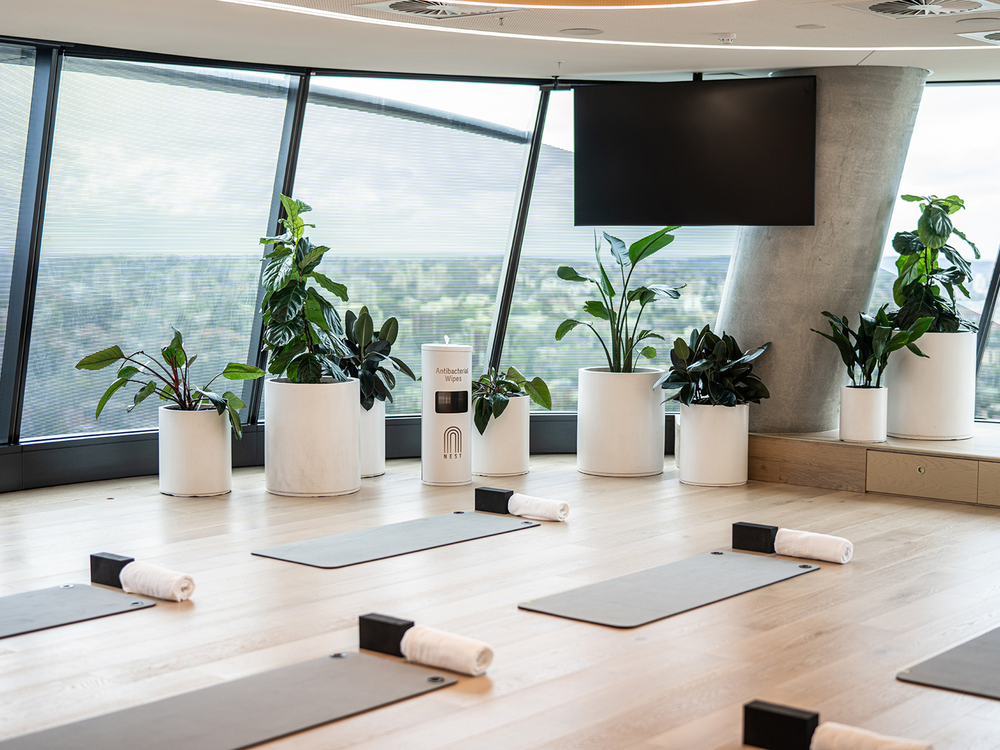 Offices paving the way for a new future of wellness and experience for