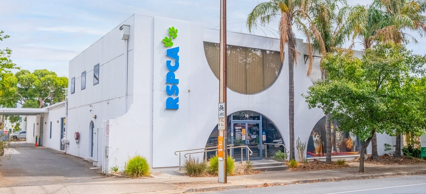 The RSPCA South Australia is selling its Adelaide headquarters and two other properties. Picture: realcommercial.com.au/for-sale
