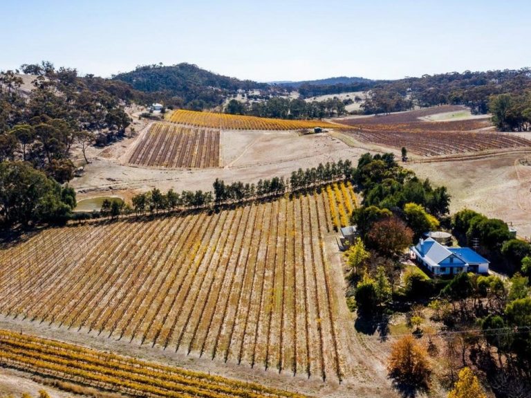Unique opportunity to own an award-winning winery in Clare Valley