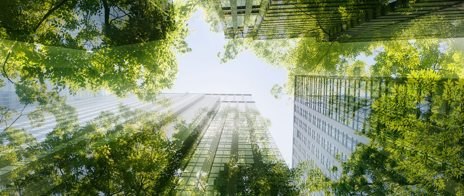 Go Green: the new way forward for commercial property