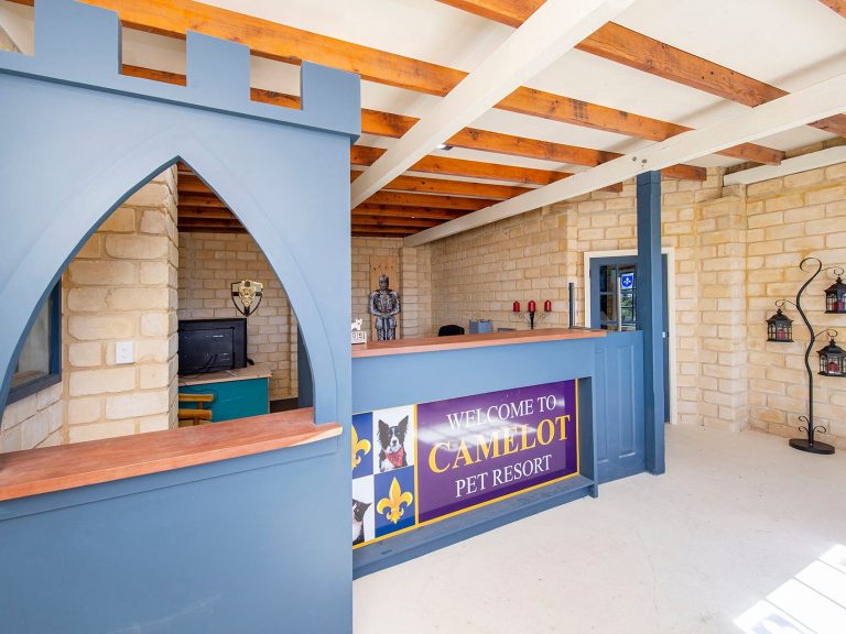 WA castle kennel and cattery up for sale