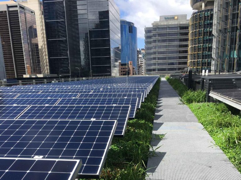 City of Sydney incorporates renewable target to tackle net zero emissions by 2035