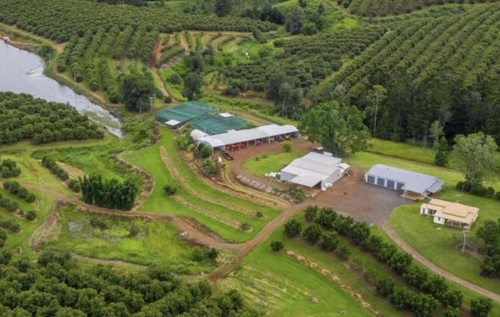Farm land values go through the roof as Australia’s agricultural sector outpaces global competition