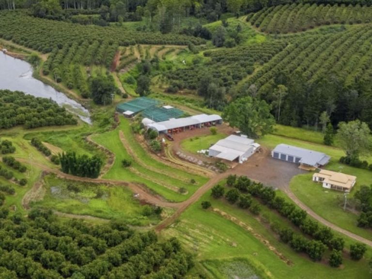 Farm land values go through the roof as Australia’s agricultural sector outpaces global competition