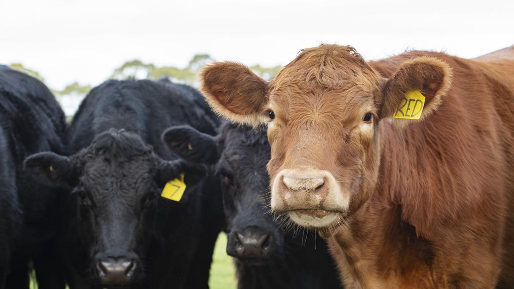 NEWS: Jim Parker farmer at Yeo