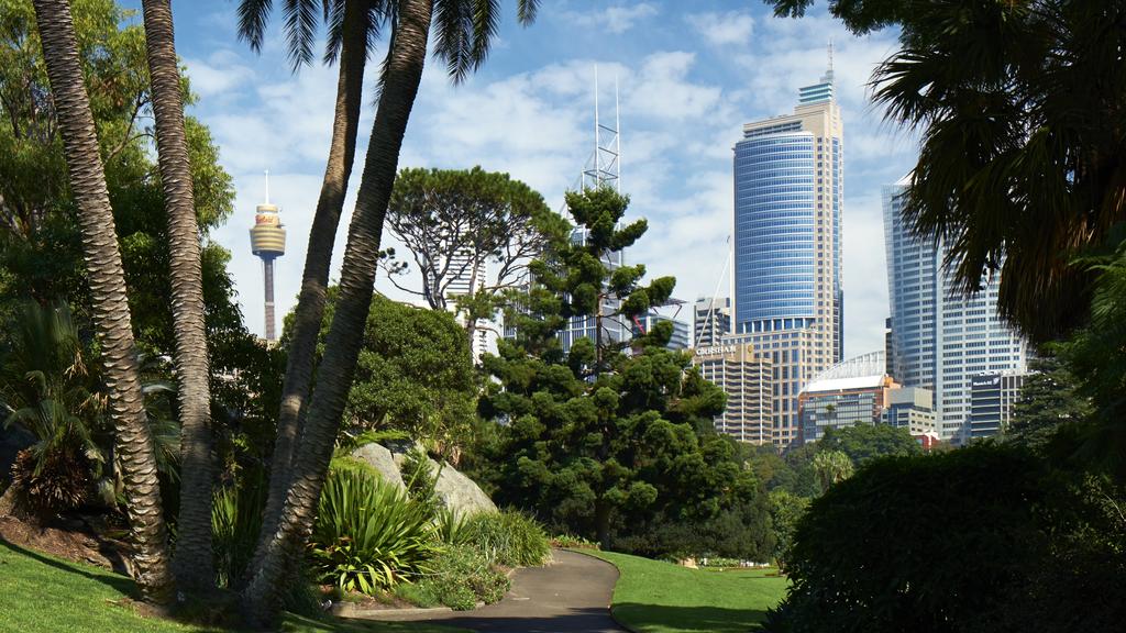 Sydney's Royal Botanic Gardens