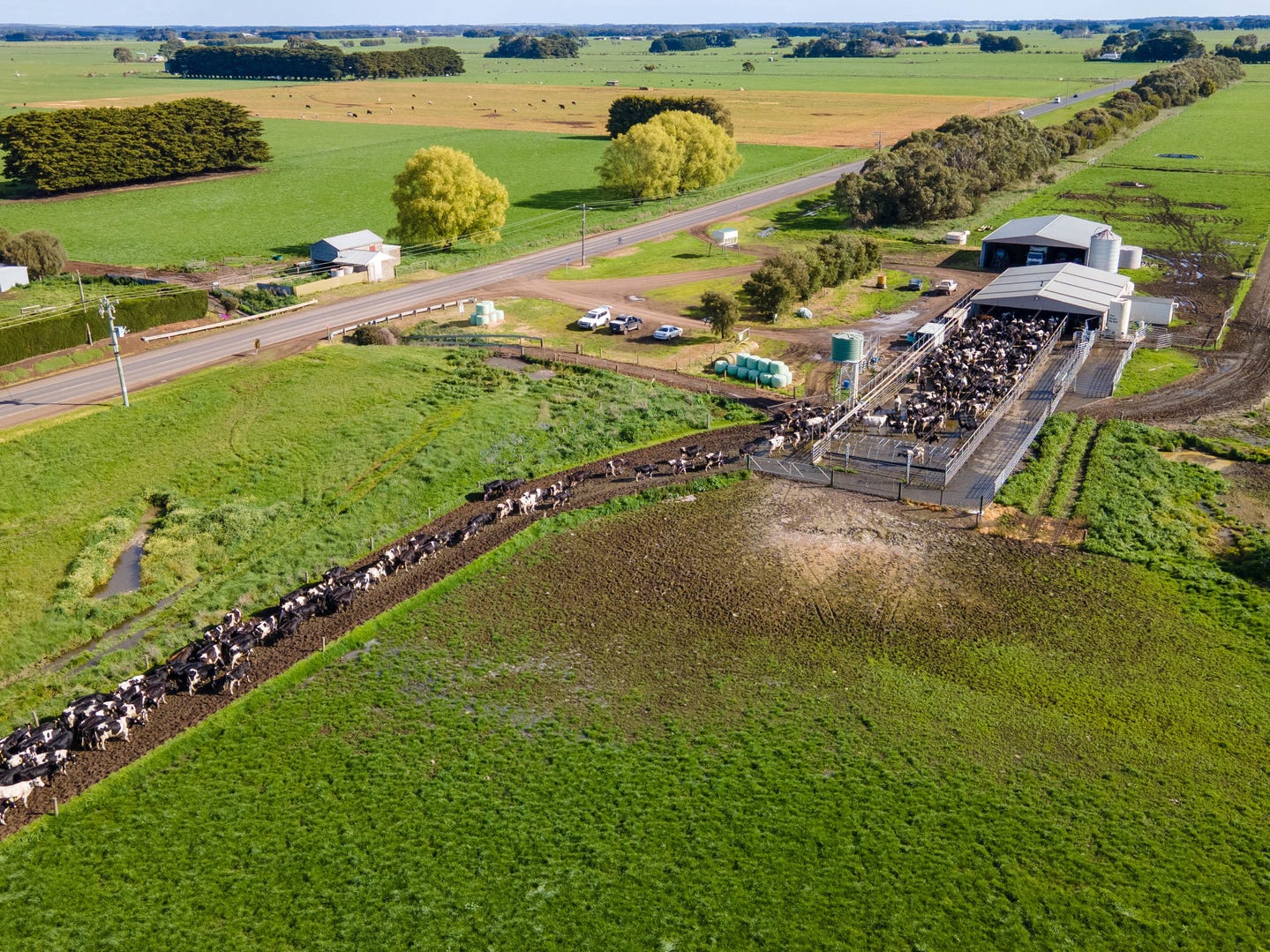 Prized dairy farm for sale in 'challenging' time for producers