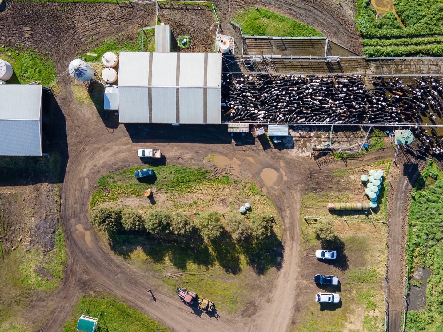 Prized dairy farm for sale in 'challenging' time for producers