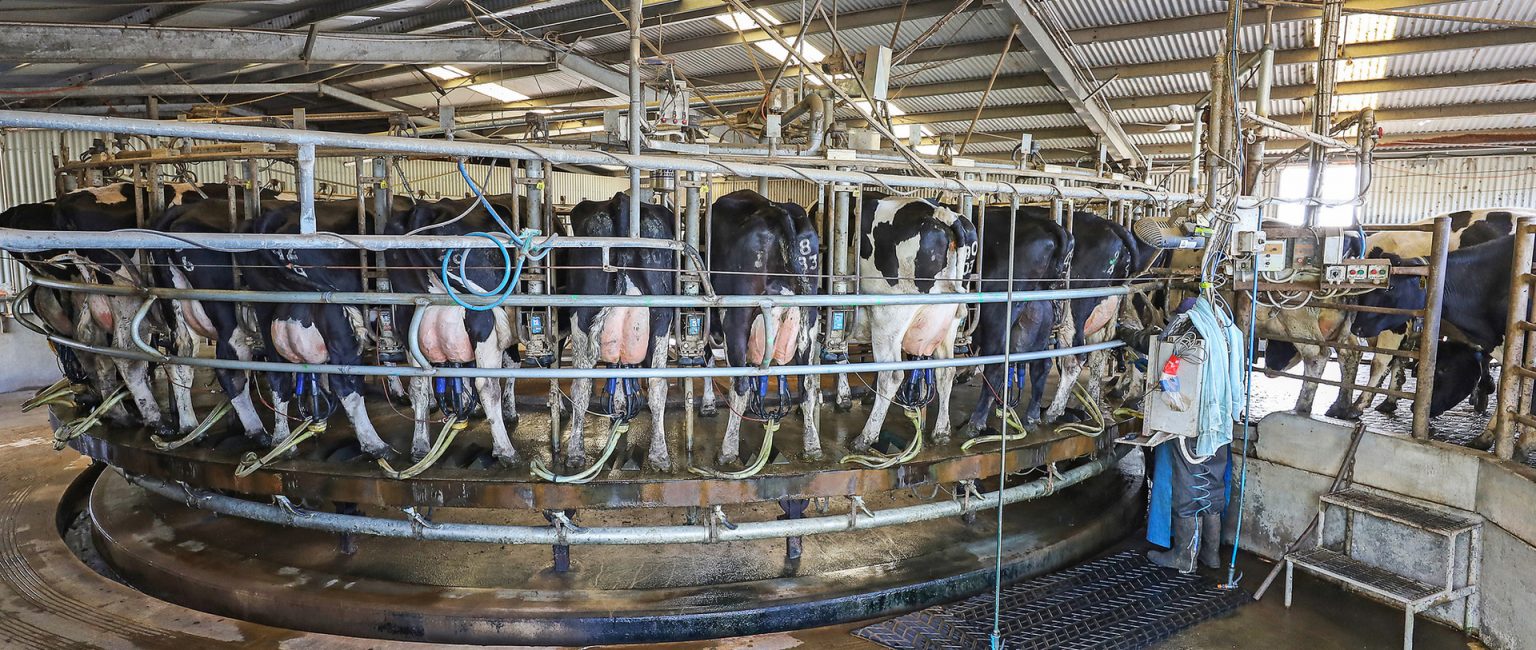 Kangertong is listed as dairy farms struggle with labour shortages and high production costs. Picture: realestate.com.au/buy