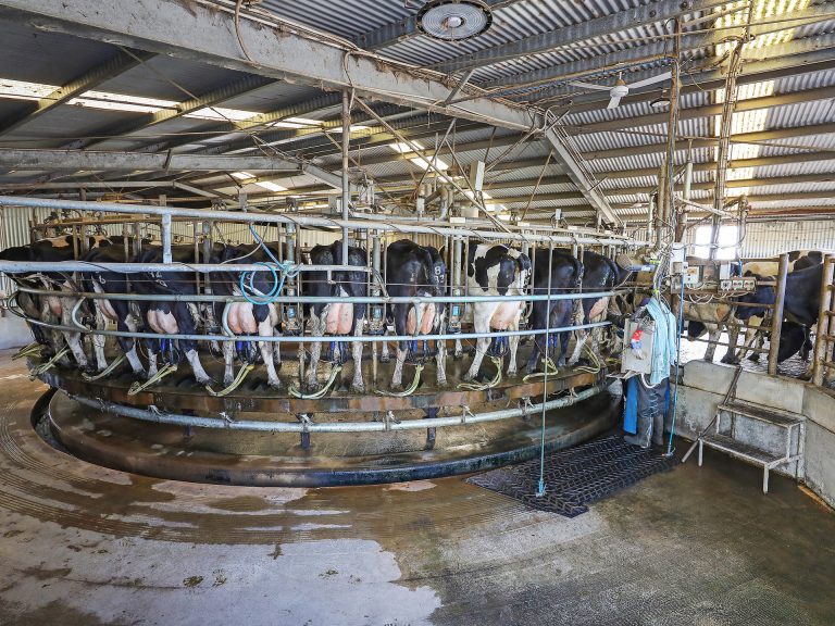 Prized dairy farm for sale in ‘challenging’ time for producers