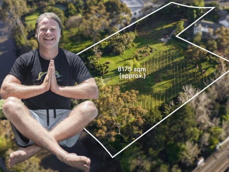 Former Swisse boss Radek Sali puts unusual inner-Melbourne vineyard on the market with $15m price hopes